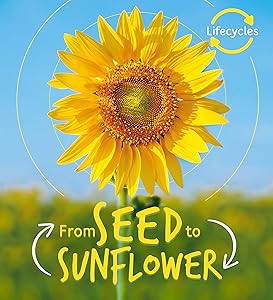 Lifecycles: Seed to Sunflower