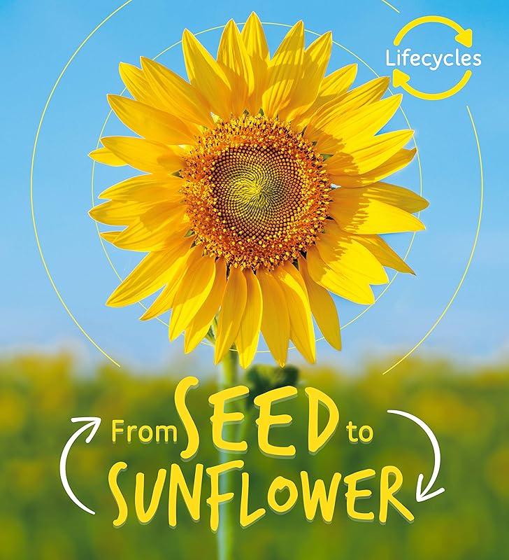 Lifecycles: Seed to Sunflower by Camilla de la Bedoyere