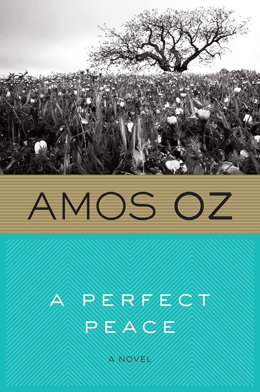 A Perfect Peace by Amos Oz