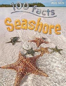 Seashore (100 Facts)