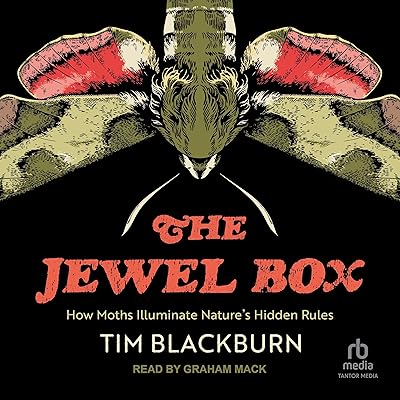 The Jewel Box: How Moths Illuminate Nature's Hidden Rules