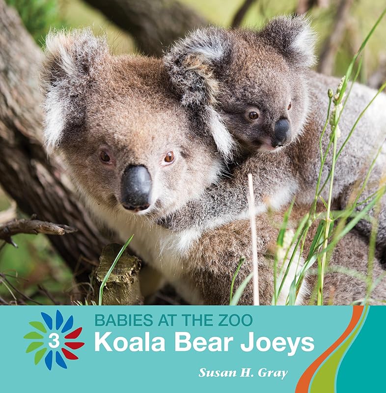 Koala Bear Joeys (21st Century Basic Skills Library: Level 3: Babies at the Zoo) by Susan H. Gray