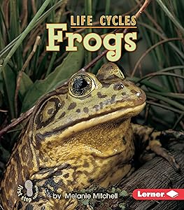 Frogs (First Step Nonfiction ― Animal Life Cycles)