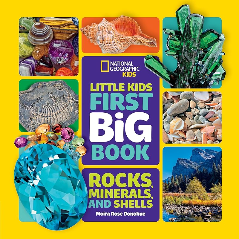 National Geographic Little Kids First Big Book of Rocks, Minerals & Shells (National Geographic Little Kids First Big Books) by Moira Rose Donohue