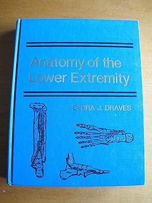 Anatomy of the Lower Extremity
