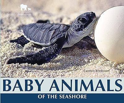 Baby Animals of the Seashore (Nature's Baby Animals)
