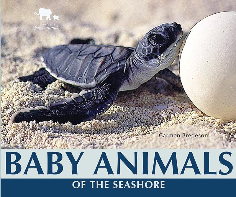Baby Animals of the Seashore (Nature's Baby Animals) by Carmen Bredeson