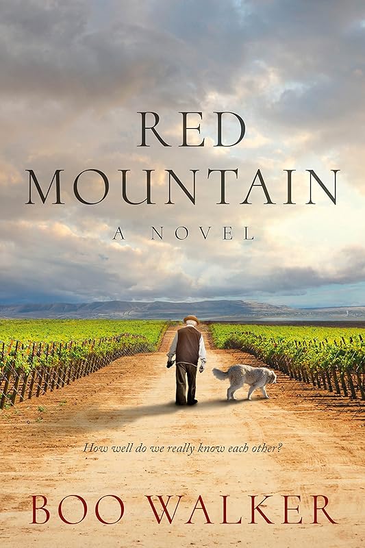 Red Mountain: A Novel (Red Mountain Chronicles Book 1) by Boo Walker