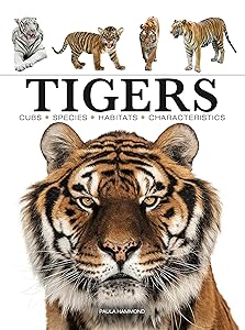 Tigers (Mini Encyclopedia) by Paula Hammond
