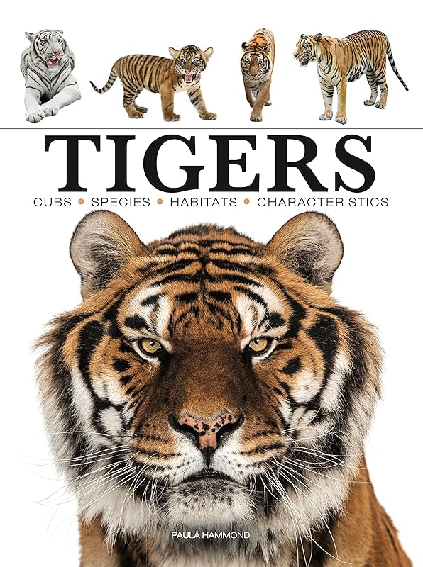 Tigers (Mini Encyclopedia) by Paula Hammond