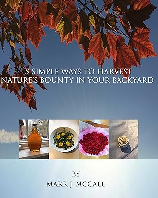 5 Simple Ways to Harvest Nature's Bounty in Your Backyard