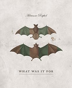 What Was It For by Adrienne Raphel