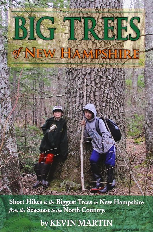 Big Trees of New Hampshire: Short Hikes to the Biggest Trees in New Hampshire from the Seacoast to the North Country by Kevin Martin