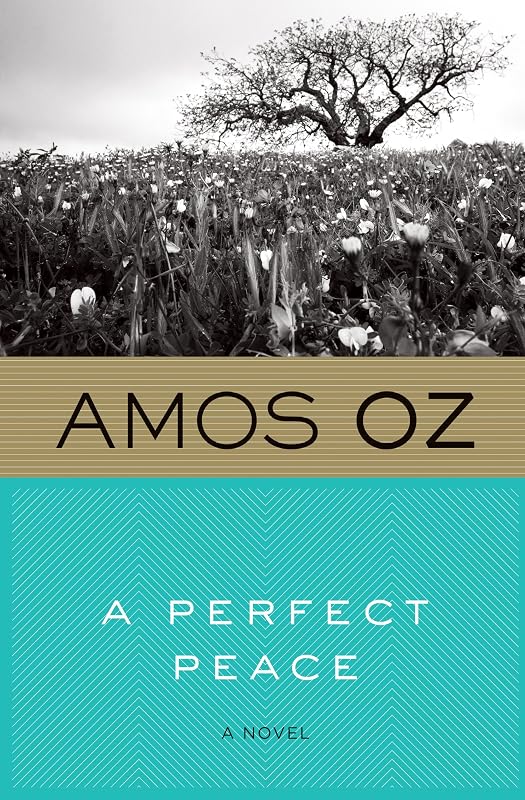 A Perfect Peace by Amos Oz