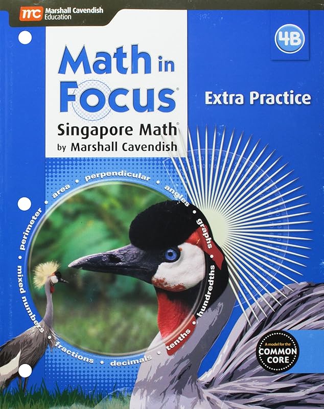 Math in Focus Extra Practice Blackline Master B Grade 4 (Hmh Math in Focus) by Houghton Mifflin Harcourt