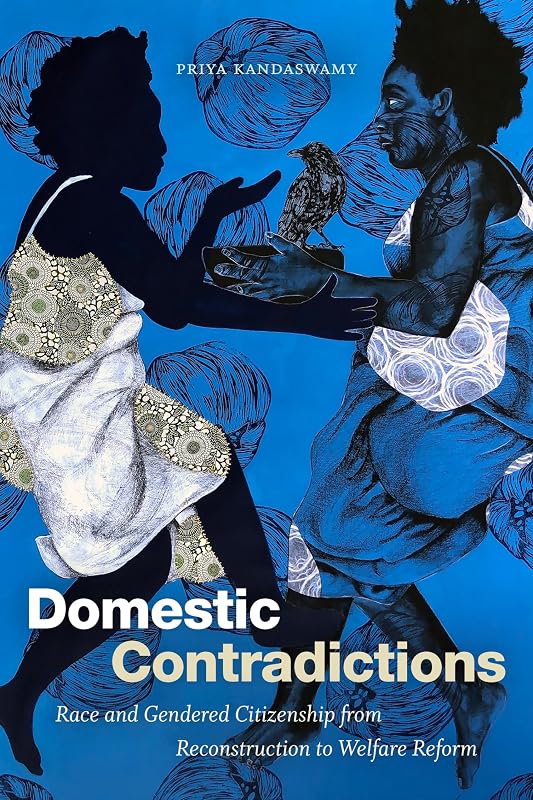 Domestic Contradictions: Race and Gendered Citizenship from Reconstruction to Welfare Reform by Priya Kandaswamy