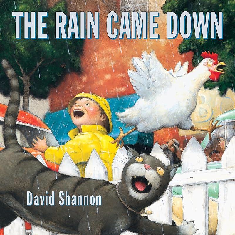 The Rain Came Down (Scholastic Bookshelf) by David Shannon