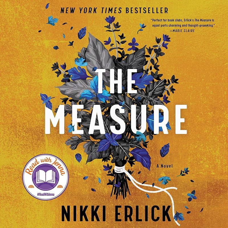 The Measure: A Novel by Nikki Erlick