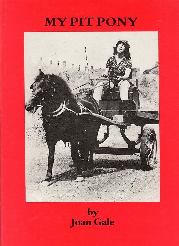 My Pit Pony by Joan Gale
