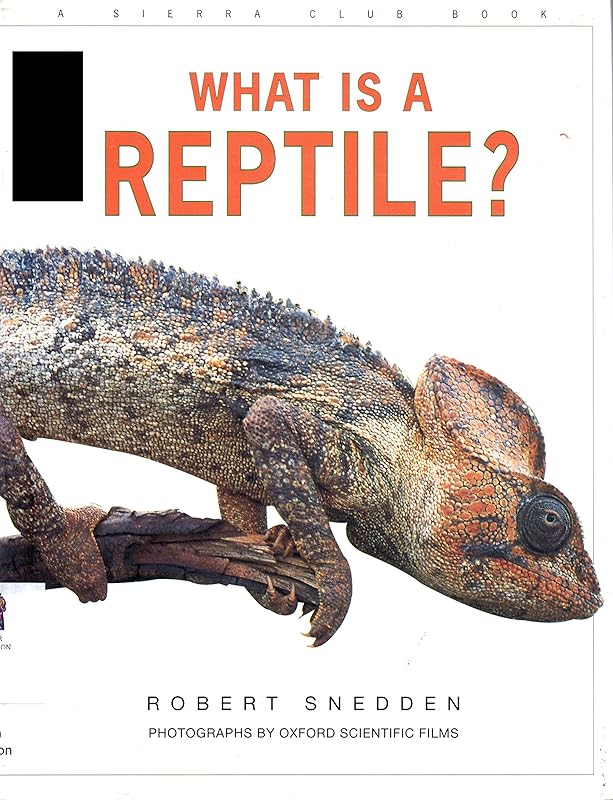 What Is a Reptile? by Robert Snedden