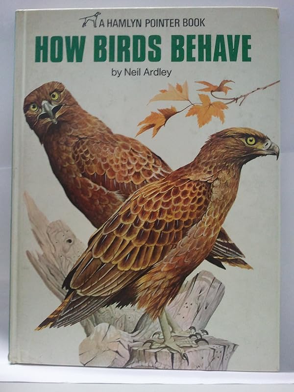 How Birds Behave by Neil Ardley