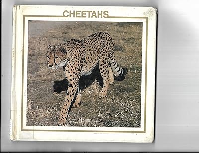 The Cheetahs (The Big Cat Discovery Library)