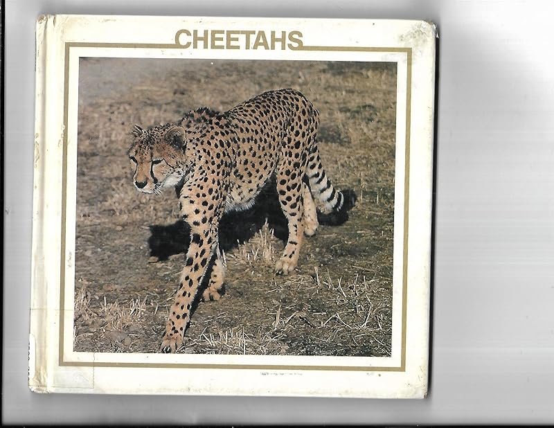 The Cheetahs (The Big Cat Discovery Library) by Lynn M. Stone