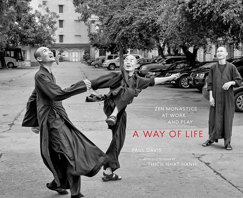 A Way of Life: Zen Monastics at Work and at Play by Paul Davis