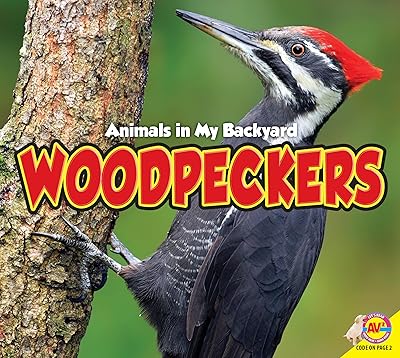 Woodpeckers (Animals in My Backyard)