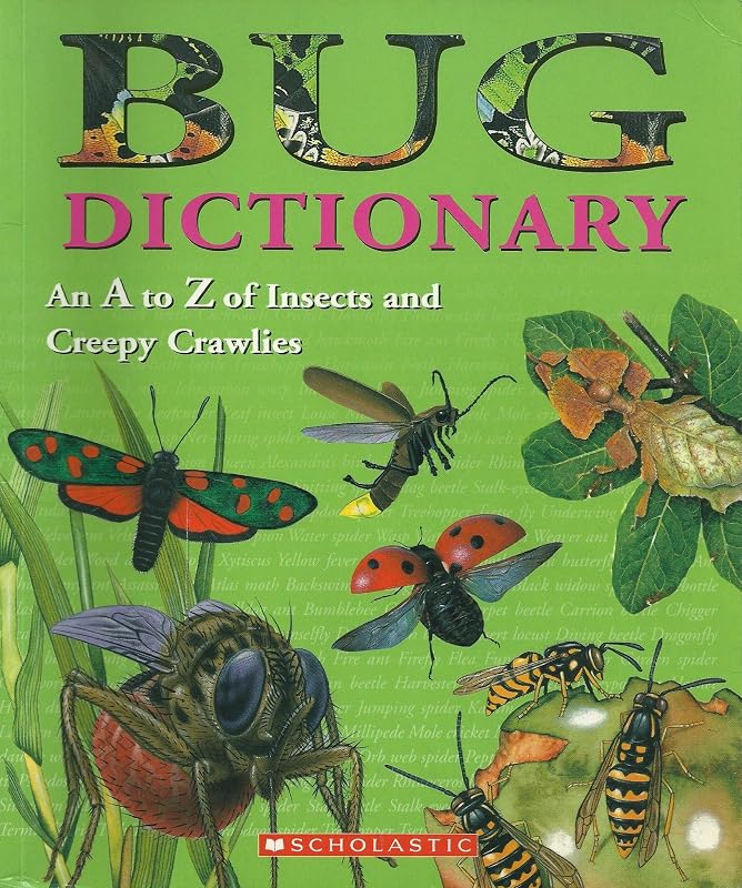 Bug Dictionary (An A to Z of Insects and Creepy Crawlies) by Jill Bailey