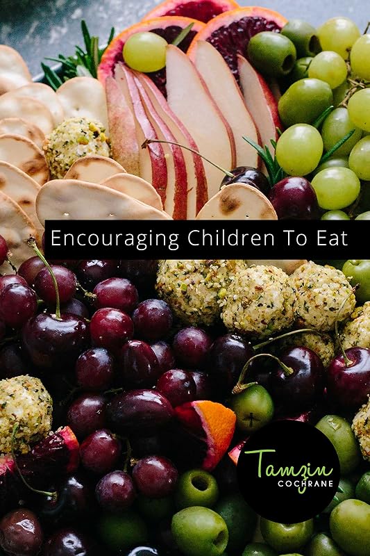 Encouraging Children to Eat by Tamzin Cochrane