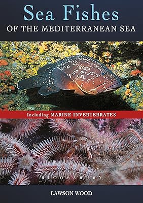 Sea Fishes Of The Mediterranean Including Marine Invertebrates