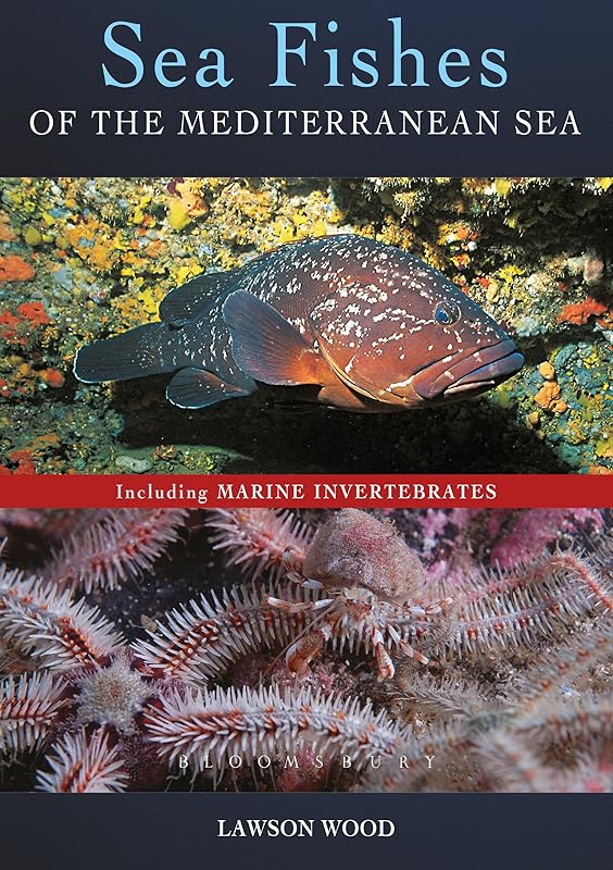 Sea Fishes Of The Mediterranean Including Marine Invertebrates by Lawson Wood