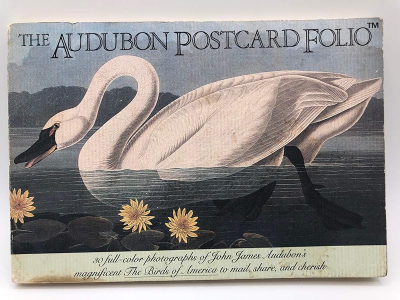 The Audubon Postcard Folio by John James Audubon