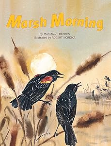 Marsh Morning