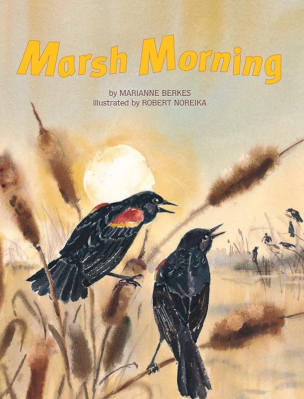 Marsh Morning by Marianne Berkes