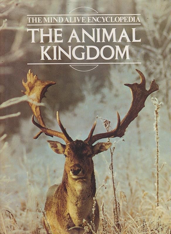 Animal Kingdom by n-a