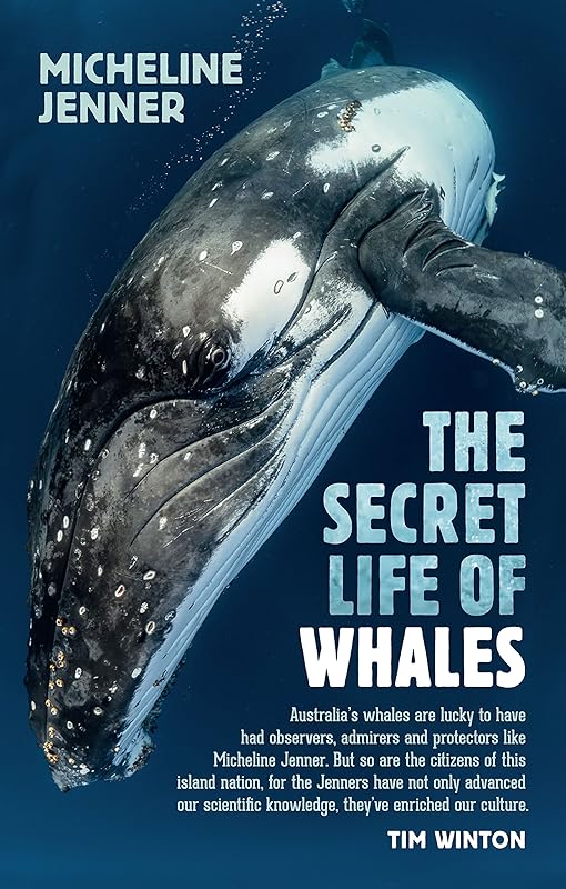 The Secret Life of Whales by Micheline Jenner