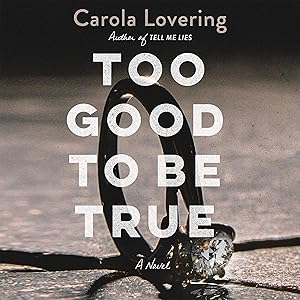 Too Good to Be True: A Novel