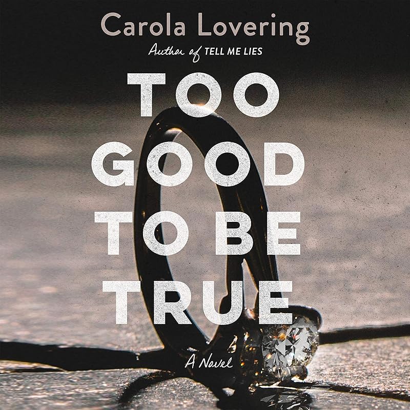 Too Good to Be True: A Novel by Carola Lovering