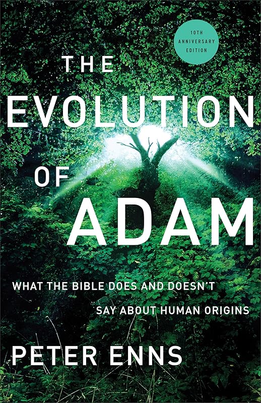 Evolution of Adam by Enns