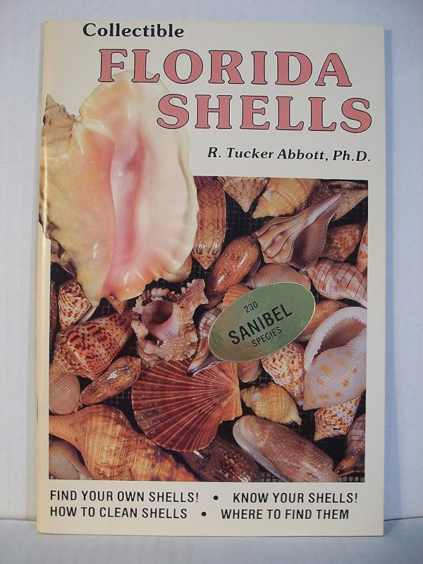 Collectible Florida Shells by R. Tucker Abbott