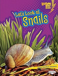 Let's Look at Snails (Lightning Bolt Books ® ― Animal Close-Ups)