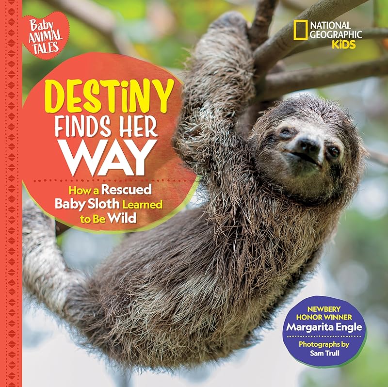 Destiny Finds Her Way: How a Rescued Baby Sloth Learned to Be Wild (Baby Animal Tales) by Margarita Engle