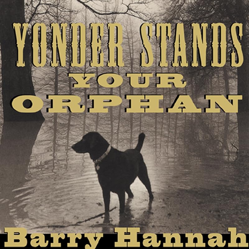 Yonder Stands Your Orphan by Barry Hannah