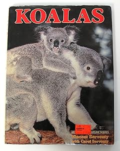 Koalas