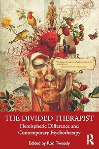The Divided Therapist by Rod Tweedy