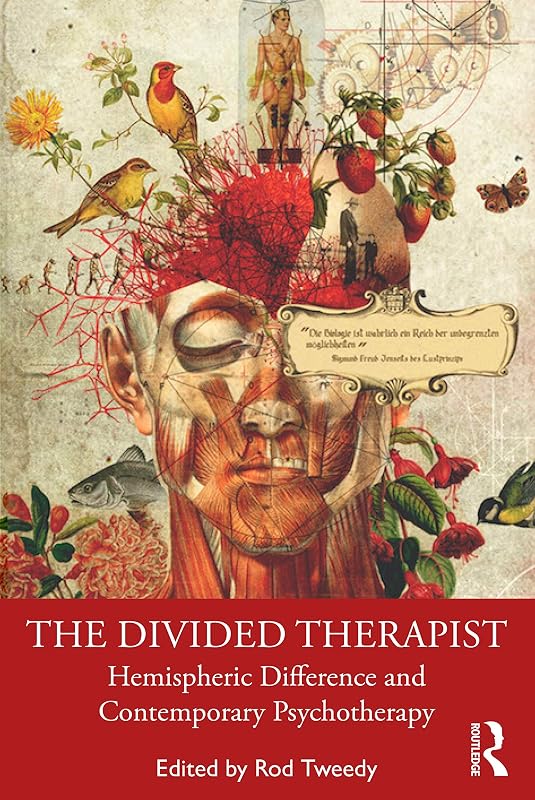 The Divided Therapist by Rod Tweedy