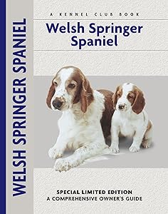 Welsh Springer Spaniel: A Comprehensive Owner's Guide by Haja Van Wessem