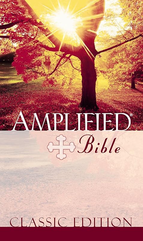 Amplified Bible by Zondervan